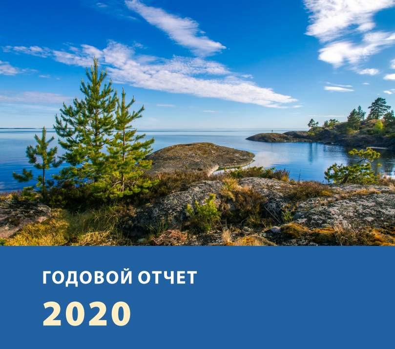 Годовой отчёт за 2020 год